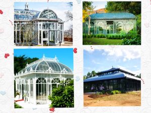 Solar Powered Greenhouses: The Future Of Sustainable Gardening